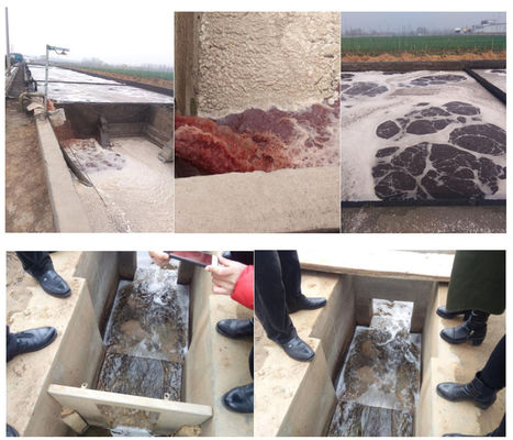 3000L/hora Ganado bovino Pollo Pollo Halal Procesamiento de carne Instalación móvil de tratamiento de aguas residuales para matadero