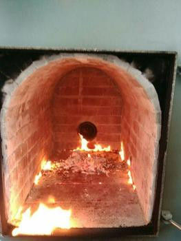 3000 kg Incineradores para animales domésticos para la eliminación sin humo e inofensivos de las canales de animales