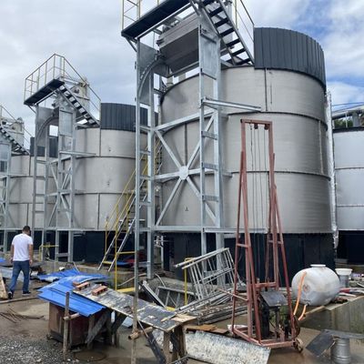 Equipo de acero inoxidable para el procesamiento de estiércol orgánico de estiércol de ganado bovino y ovino