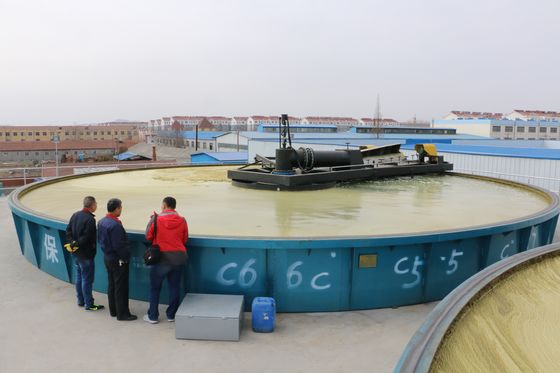 Máquina de flotación de aire poco profundo para el tratamiento y rendimiento de aguas residuales de niquel