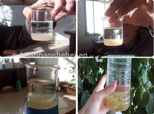 1 de los componentes principales Máquina de separación sólido-líquido para plantas de tratamiento de aguas residuales