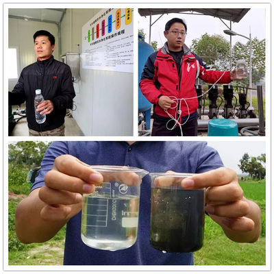 Sistema de depuración de aguas residuales para el tratamiento de grasa de aceite de 1000L/hora
